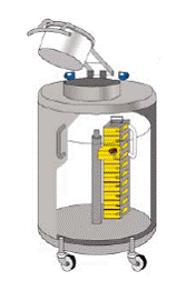 EVO视讯(中国游)有限公司-官网伟业